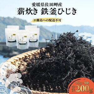 yӂ邳Ɣ[Łz ys\z d SЂ 40g×5 v200g QcY ւ̔zs y ӂ邳Ɣ[ lC  LO Ђ qWL SЂ ϕ h{ T_
