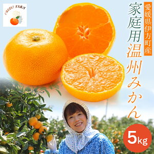 yӂ邳Ɣ[Łzys\zyƒpzB݂ 5kg kCEEւ̔zs i2025N121菇\j y ӂ邳Ɣ[ lC  LO ݂ t[c 