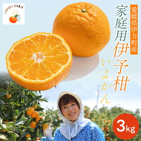 【ふるさと納税】【先行予約】【家庭用】伊予柑 3kg ※北海道・沖縄・離島への配送不可 （2027年1月16日より順次発送予定） ふるさと納税 人気 おすすめ ランキング みかん ミカン 伊予甘 フルーツ 果物 OKUBO FARM 愛媛県産 家庭用 愛媛県 伊方町 送料無料 IKTAT004