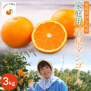 yӂ邳Ɣ[Łzys\zyƒpz^S[ 3kg kCEEւ̔zsi2026N3{菇j y ӂ邳Ɣ[ lC  LO k ݂ 