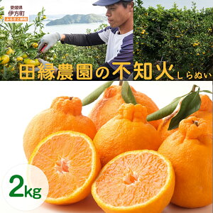 yӂ邳Ɣ[Łzys\zyʌzc_̕sm΁iʂj2kg ւ̔zs i2026N210菇j yӂ邳Ɣ[ lC  LO ݂  sm