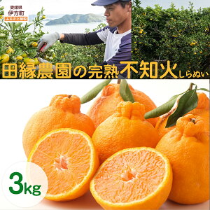 yӂ邳Ɣ[Łzys\zyʌzc_̊nsm΁iʂj3kg ւ̔zs i2026N320菇j yӂ邳Ɣ[ lC  LO ݂  