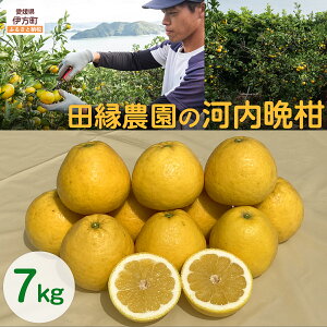 yӂ邳Ɣ[Łzc_͓̉ӊ7kg ւ̔zs i2026N410菇j yӂ邳Ɣ[ lC  LO ݂ ~J  ͓ӊ t[c ʕ Q