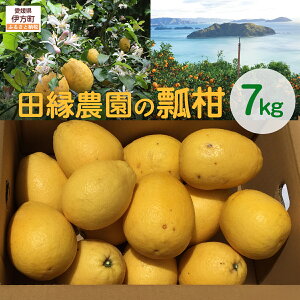yӂ邳Ɣ[Łzys\zyʌzc_̕Ziʁj7kg i2026N41菇j yӂ邳Ɣ[ lC  LO ݂ ~J  Z t[c ʕ Q