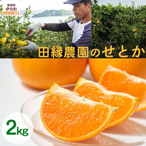 yӂ邳Ɣ[Łzys\zyʌzc_̂Ƃ2kg ւ̔zs i2026N35菇j yӂ邳Ɣ[ lC  LO ݂ ~J  Ƃ t