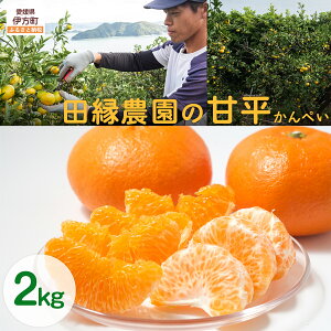 yӂ邳Ɣ[Łzys\zyʌzc_̊Õi؂j2kg ւ̔zs i2026N125菇j yӂ邳Ɣ[ lC  LO ݂ ~J 