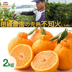 yӂ邳Ɣ[Łzys\zyʌzc_̊nsm΁iʂj2kg ւ̔zs i2026N320菇j yӂ邳Ɣ[ lC  LO ݂  