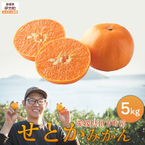 楽天市場】せとか5キロの通販