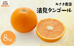 yӂ邳Ɣ[Łz^S[ 8kg kCAEւ̔zsi2026N3{珇jyӂ邳Ɣ[ lC  LO ݂ ~J  k ^S[ 