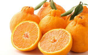yӂ邳Ɣ[Łzys\zSaito Orange Farm̖󂠂sm4kg i2026N2{菇j y ӂ邳Ɣ[ lC  ݂ k sm ʂ t[c ʕ Fa Saito Orange F