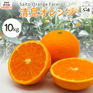 yӂ邳Ɣ[Łzys\zSaito Orange Farm̐IW10kg i2026N3{菇j yӂ邳Ɣ[ lC  ݂  k  IW IW t[c F