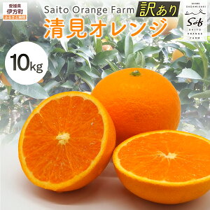 yӂ邳Ɣ[Łzys\zSaito Orange Farm̖󂠂萴IW Iׂ 5kg ` 10kg i2026N3{菇j y ӂ邳Ɣ[ lC ݂  k  IW IW t