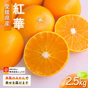 yӂ邳Ɣ[Łzys\zg؁iʁj2.5kgi2025N12{菇j yӂ邳Ɣ[ lC  LO ݂ ~J  g t[c ʕ Yn jEY Q