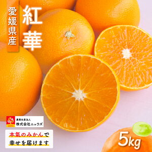 yӂ邳Ɣ[Łzys\zg؁iʁj5kg i2025N12{菇j yӂ邳Ɣ[ lC  LO ݂ ~J  g t[c ʕ Yn jEY Q