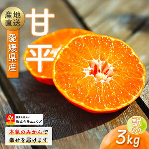 yӂ邳Ɣ[Łzys\zYnIQYÕ 3kgi󂠂ji2026N1{蔭\j yӂ邳Ɣ[ lC  LO ݂ ~J  Õ 󂠂 t[c 