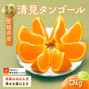 yӂ邳Ɣ[Łzys\zYnIQY^S[ 5kgi2026N3{菇j y ӂ邳Ɣ[ lC  LO ݂ ~J  ^S[ t[c
