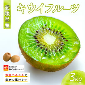 【ふるさと納税】【先行予約】キウイフルーツ（生果）3kg（2025年11月上旬より順次発送） 【 ふるさと納税 人気 おすすめ ランキング キウイ キウイフルーツ フルーツ 果物 産地直送 ニュウズ 愛媛県産 愛媛県 伊方町 送料無料 】 IKTF024