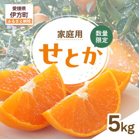 【ふるさと納税】【先行受付】【数量限定】【家庭用】せとか（生果）5kg（2027年2月頃より順次発送） 【ふるさと納税 人気 おすすめ ランキング 柑橘 みかん ミカン せとか 蜜柑 果物 生果 フルーツ 家庭用 Y.ONE農園 愛媛県産 愛媛県 伊方町 送料無料】 IKTQ010