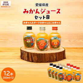 【ふるさと納税】【先行予約】みかんジュースセットB 200ml×12本 ※北海道、沖縄・離島への配送不可（2025年12月より発送予定） 【ふるさと納税 人気 おすすめ 飲み物 果物 フルーツ 柑橘 国産 みかんジュース ギフト 贈り物 プレゼント 愛媛県 伊方町 送料無料】 IKTI019