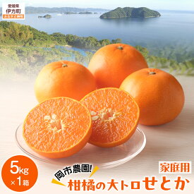 【ふるさと納税】【先行予約】【数量限定】岡市農園！柑橘の大トロせとか5kg×1箱（家庭用）（2027年2月下旬より順次発送） IKTV008