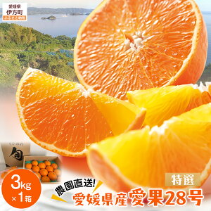 yӂ邳Ɣ[Łzys\zyʌz__^QY 28iIj 3kg×1i2025N12{菇j yӂ邳Ɣ[ lC  LO k ݂ ~J 