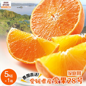 yӂ邳Ɣ[Łzys\zyʌz__^QY 28iƒpj 5kg×1iTCYji2025N12{菇j yӂ邳Ɣ[ lC  LO k 