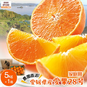 yӂ邳Ɣ[Łzys\zyʌz__^QY 28iƒpj 5kg×1iTCYji2025N12{菇j yӂ邳Ɣ[ lC  LO k 