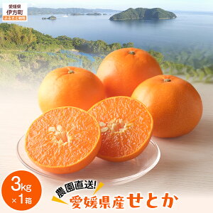 yӂ邳Ɣ[Łzys\zyʌz__^QYƂ3kg×1i2026N2{菇j yӂ邳Ɣ[ lC  LO k ݂ ~J  Ƃ 