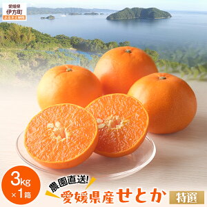 yӂ邳Ɣ[Łzys\zyʌzyIz__^QYƂ 3kg ւ̔zsi2026N2{菇j yӂ邳Ɣ[ lC  LO k 