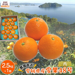 yӂ邳Ɣ[Łzys\zyʌzyGz__^48 2.5kg ւ̔zsi2026N2{菇j yӂ邳Ɣ[ lC  LO k ݂ ~