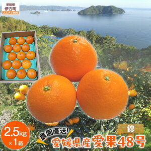 yӂ邳Ɣ[Łzys\zyʌzyDz__^QY48 2.5kgi2026N2{菇j yӂ邳Ɣ[ lC  LO k ݂ ~J  