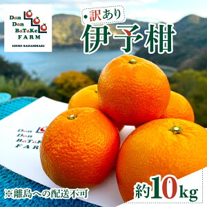 �y�ӂ邳�Ɣ[�Łz�y��s�\��z�y�󂠂�z�ɗ\�� ��10kg �������ւ̔z���s�@��2026�N1�����{���珇�������\��y�ӂ邳�Ɣ[�� �l�C �������� �����L���O �݂��� �~�J�� �t���[�c �ɗ\�� �ʕ�