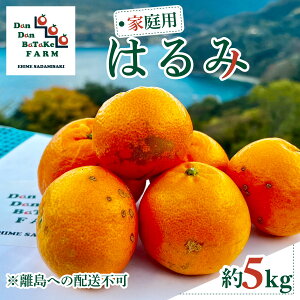 �y�ӂ邳�Ɣ[�Łz�y��s�\��z�y�ƒ�p�z�͂�� ��5kg �������ւ̔z���s�@��2026�N1�����{��菇�������\��y�ӂ邳�Ɣ[�� �l�C �������� �����L���O ���k �݂��� �~�J�� �t���[�c �ʕ� �I