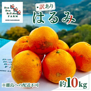 �y�ӂ邳�Ɣ[�Łz�y��s�\��z�y�󂠂�z�͂�� ��10kg �������ւ̔z���s�@��2026�N1�����{��菇�������\��y�ӂ邳�Ɣ[�� �l�C �������� �����L���O ���k �݂��� �~�J�� �t���[�c �ʕ� 