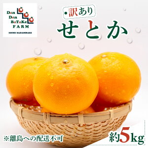 �y�ӂ邳�Ɣ[�Łz�y��s�\��z�y�󂠂�z���Ƃ� ��5kg �������ւ̔z���s�@��2026�N3����{��菇�������\��y�ӂ邳�Ɣ[�� �l�C �������� �����L���O ���k �݂��� �~�J�� �t���[�c �ʕ� �I