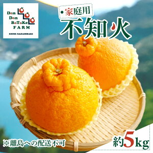 �y�ӂ邳�Ɣ[�Łz�y��s�\��z�y�ƒ�p�z�s�m�� ��5kg �������ւ̔z���s�@��2026�N2�����{��菇�������\��y�ӂ邳�Ɣ[�� �l�C �������� �����L���O ���k �݂��� �~�J�� �t���[�c �ʕ� �I