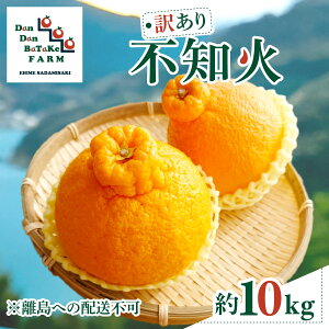 �y�ӂ邳�Ɣ[�Łz�y��s�\��z�y�󂠂�z�s�m�� ��10kg �������ւ̔z���s�� ��2026�N2�����{��菇�������\��y�ӂ邳�Ɣ[�� �l�C �������� �����L���O ���k �݂��� �~�J�� �t���[�c �ʕ� �I