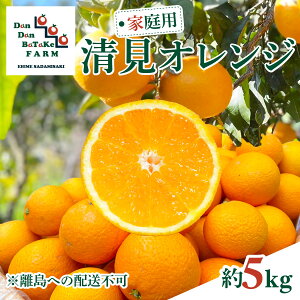 �y�ӂ邳�Ɣ[�Łz�y��s�\��z�y�ƒ�p�z�����I�����W ��5kg �������ւ̔z���s�@��2026�N2�����{��菇�������\��y�ӂ邳�Ɣ[�� �l�C �������� �����L���O ���k �݂��� �~�J�� �t���[�c 