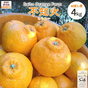 yӂ邳Ɣ[Łzys\zyIzSaito Orange Farm̕sm4kg i2026N2{菇j y ӂ邳Ɣ[ lC  ݂  k sm ʂ t[c ʕ 