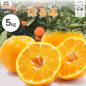 yӂ邳Ɣ[Łzys\zSaito Orange Farm̂͂5kg i2026N2㒆{菇j y ӂ邳Ɣ[ lC  ݂  k ͂ t[c ʕ Yn Fa Saito Orange 