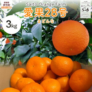 yӂ邳Ɣ[Łzys\zyʌzSaito Orange Farm̈28i܂ǂȁj3kg i2026N1{菇j y ӂ邳Ɣ[ lC  ݂  k 28 t[c ʕ