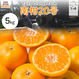 yӂ邳Ɣ[Łzys\zSaito Orange Farm̓승205kg i2025N12{菇j y ӂ邳Ɣ[ lC  ݂  k 20 t[c ʕ Yn Fa Saito Or