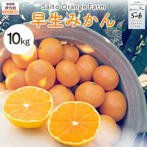 yӂ邳Ɣ[Łzys\zSaito Orange Farm̑i킹j݂10kg i2025N11{菇j y ӂ邳Ɣ[ lC  ݂  k ݂ ~J t[c 