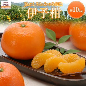 yӂ邳Ɣ[Łzys\zyʌzJAɂ ݂鋤I ɗ\ 10kg ւ̔zsi2026N1{菇\j y lC  LO ݂ ɗ\ 悩