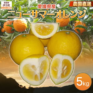 yӂ邳Ɣ[Łzy͔|Ԓ_sgpzystzyʌz_IQYj[T}[IW 5kg i2026N3{菇j yӂ邳Ɣ[ lC  k 