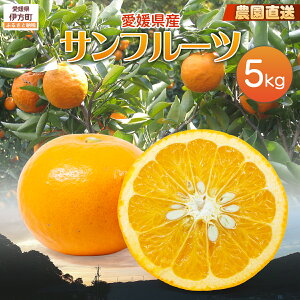 yӂ邳Ɣ[Łzy͔|Ԓ_sgpzystzyʌz_IQYTt[c 5kg i2026N4{菇j yӂ邳Ɣ[ lC  ݂ Tt