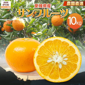 yӂ邳Ɣ[Łzy͔|Ԓ_sgpzystzyʌz_IQYTt[c 10kg i2026N4{菇j yӂ邳Ɣ[ lC  k ݂ 