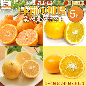 yӂ邳Ɣ[Łzy͔|Ԓ_sgpzystzy_ƌIzؖ{_ G߂̊kHה׃Zbg 5kg i2025N11菇j yӂ邳Ɣ[ lC  k ݂ 