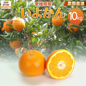 yӂ邳Ɣ[Łzy͔|Ԓ_sgpzystzyʌz_IQY 悩 10kg i2026N1{菇j yӂ邳Ɣ[ lC  k ݂  