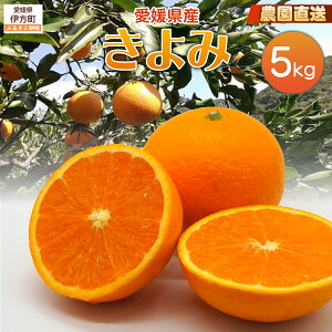 yӂ邳Ɣ[Łzy͔|Ԓ_sgpzystzyʌz_IQY  5kg i2026N2{菇j yӂ邳Ɣ[ lC  LO k ݂